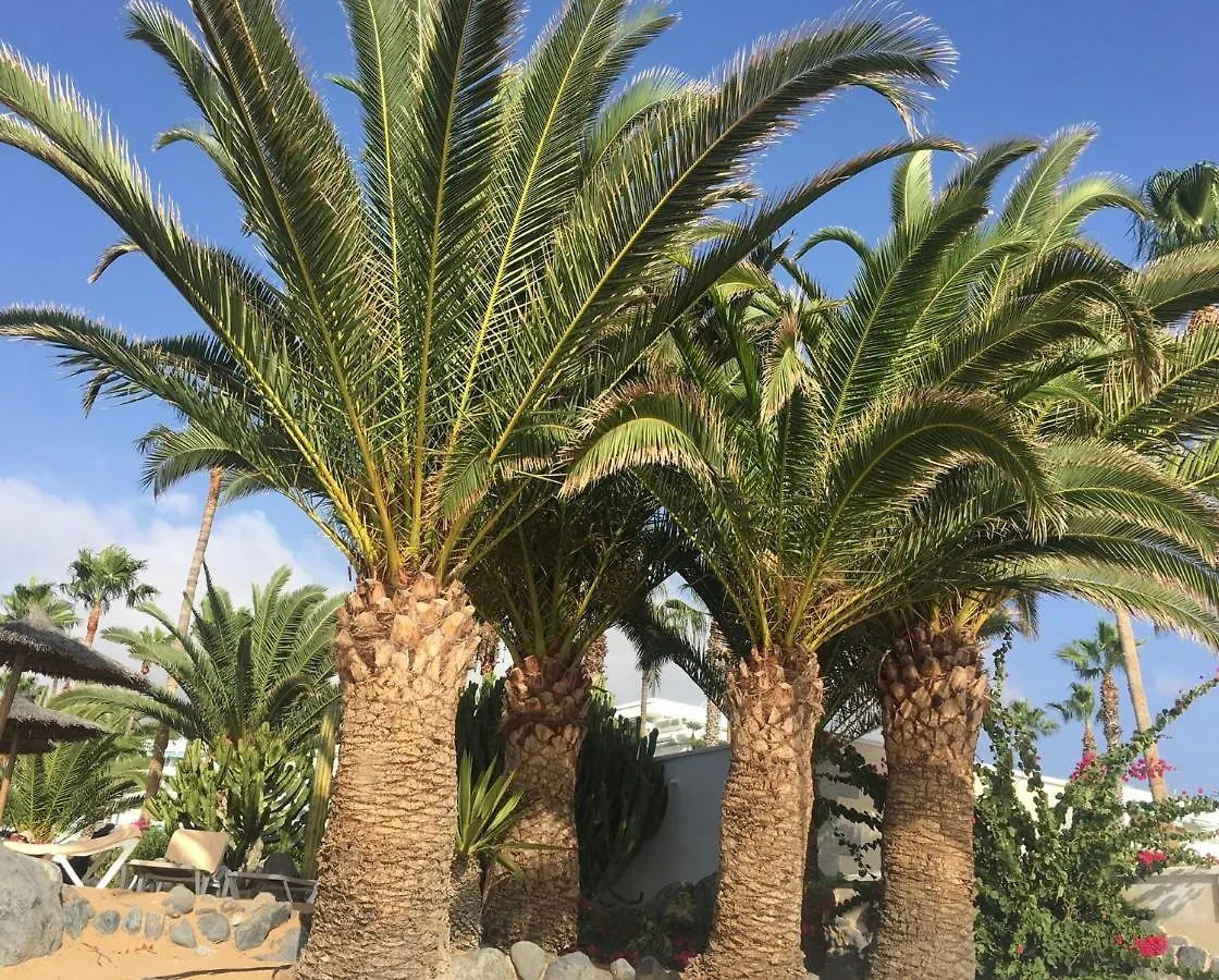 Cosy Apartment With Rooftop Terrace And Wifi Valle de San Lorenzo